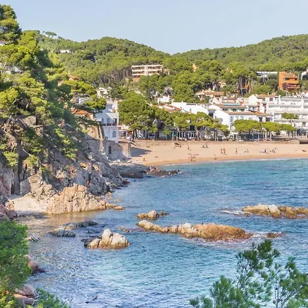 Homer Palafrugell